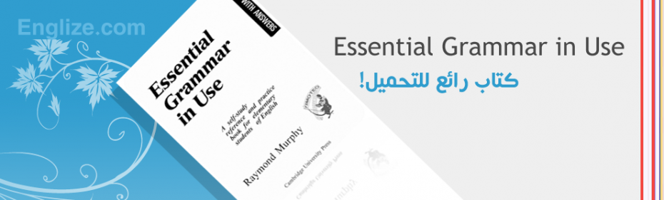 essential grammar in use 2nd edition pdf essential grammar in use 2nd edition pdf