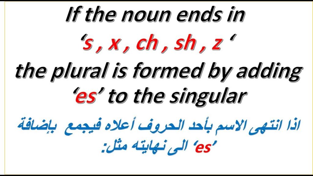 الاسم المفرد والجمع