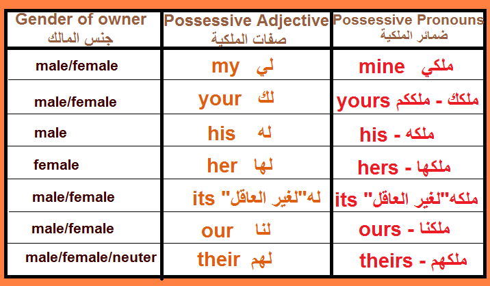 صيغ الملكية في اللغة الإنجليزية
